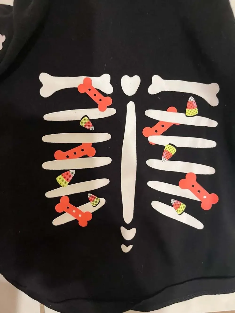 Thrills & Chills Collection Glow-in-the-Dark Skeleton Dog Hoodie